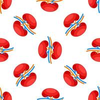 Human kidneys with artery and vein seamless pattern on white background vector