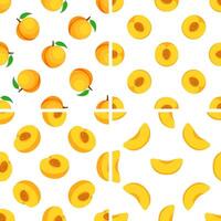 Seamless pattern with whole, halved and sliced peaches showing the pit and leaves vector