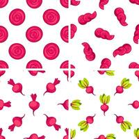 Beetroot Seamless Pattern Showing Sliced and Whole Beet vector