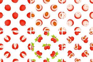 Seamless pattern with lychee fruit and slices showing the pulp and seed on white background vector