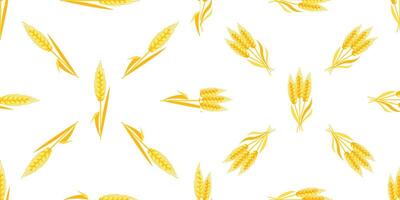Seamless pattern with ripe yellow wheat stalks forming a beautiful agricultural background vector