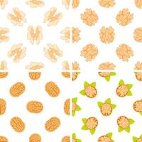 Four seamless patterns with peeled walnuts and walnut kernels vector