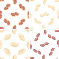 Set of seamless patterns with peanuts in shell and peeled peanuts vector