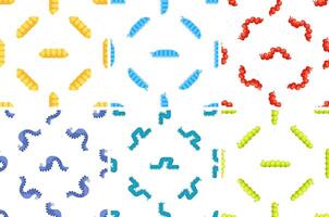 Colorful caterpillar patterns crawling on white background vector