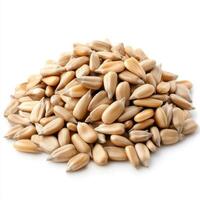 heap of raw sunflower seeds, perfect for baking and cooking. These nutritious seeds are versatile ingredient, adding flavor and texture to various dishes photo