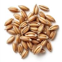 Whole barley grains are nutritious food ingredient, showcasing their natural texture and color. These grains are often used in various recipes and health foods photo