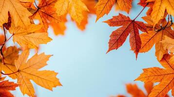 Colorful autumn leaves frame serene blue sky, creating vibrant and warm atmosphere. rich hues of orange and yellow evoke feelings of tranquility and beauty of nature photo
