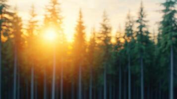 serene sunset casts warm glow through dense forest, with tall trees silhouetted against vibrant sky. soft light creates peaceful atmosphere, inviting tranquility and reflection photo