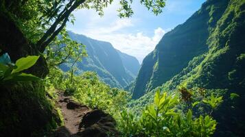 hidden trail in misty valley surrounded by towering mountains and lush greenery, evoking sense of adventure and tranquility photo