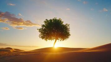 solitary tree stands against sweeping dunes at dawn, radiating tranquility and beauty photo