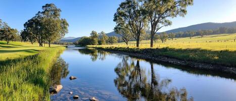 tranquil river flows under clear sky, surrounded by lush trees and green fields. serene landscape reflects nature beauty photo