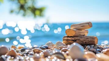 A stack of logs on the beach with a tree in the background photo