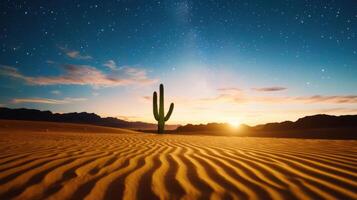 Desert landscape with cactus at sunset photo
