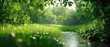Lush green forest with serene stream flowing through vibrant foliage photo