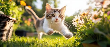 playful cat leaps through vibrant garden filled with flowers, showcasing its energy and curiosity photo