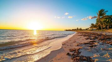 serene beach horizon at sunset, with gentle waves and palm trees photo