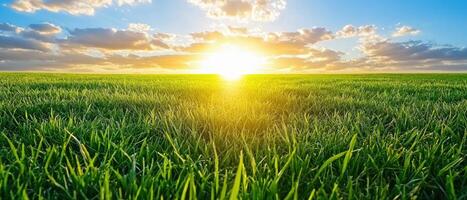 stunning sunset over lush green field, creating serene atmosphere photo