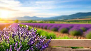 field of lavender stretching to horizon under bright sky, creating serene atmosphere photo