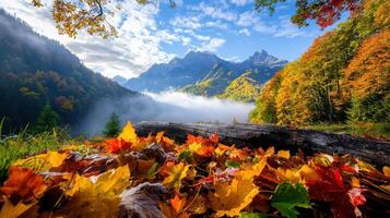 foggy autumn morning in mountain forest with colorful leaves and mist photo