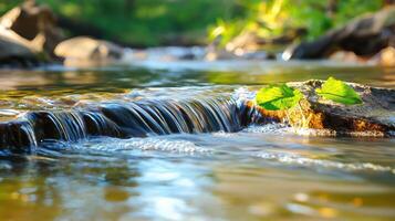 A small stream with a leaf floating in it photo