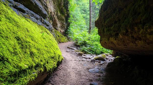 winding cave path surrounded by lush moss and greenery, inviting exploration and adventure photo