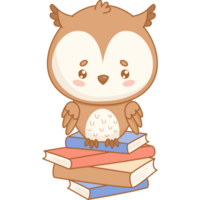 Wise Owl bird Sitting on stack of books png
