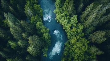 A river with trees on either side photo