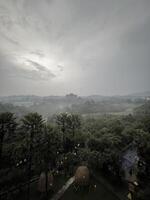 A view of the city from the top of a hill photo