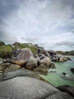 A rocky beach with large boulders and trees photo
