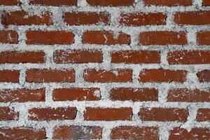 Close-up of a red brick wall with white mortar, showing texture and detail. photo