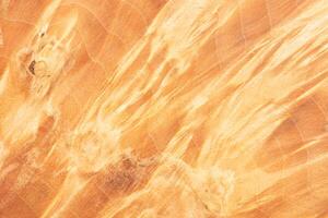 macro photo of a wooden background with a smooth and even texture.