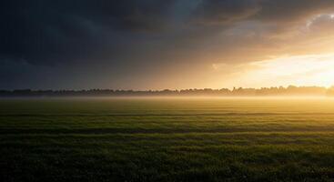 A green field is lit with sunlight beneath a dramatic sky photo