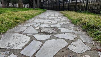 Stone pathway in a tranquil park surrounded by greenery and trees photo