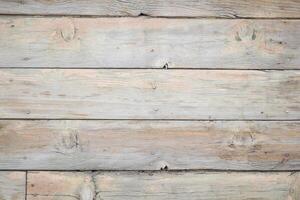 Weathered wooden planks create a rustic backdrop in natural light photo