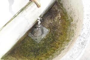 Water flowing from faucet into a moss-covered drain at midday photo