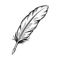 Black and white feather illustration detailed ink drawing of quill with texture and lines vector