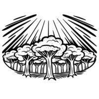 Forest illustration stylized trees and sunrays in nature art design vector