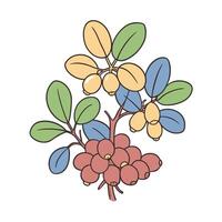 colorful botanical illustration featuring berries and leaves in a stylized artistic design vector