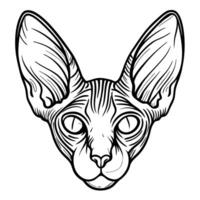 Sphynx cat line art illustration minimalist black and white design of a hairless feline vector