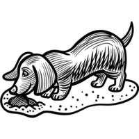 curious dachshund sniffing through soil playful dog exploring environment in black and white illustration vector