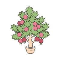 pomegranate tree in pot with lush green leaves and ripe red fruits vector