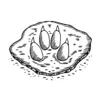 Dinosaur footprints fossil illustration on rock slab, prehistoric imprint archaeology image vector