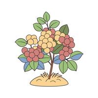 Illustrated coffee plant colorful berries and leaves on artistic botanical drawing vector