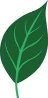 Gradient leaves illustration vector