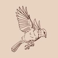Titmouse. Flying bird. Hand drawn illustration vector