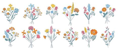 Wildflower colorful bouquets set. Bunches of blooming different meadow flowers, herbs, and wild plants. Botanical elements for design projects, minimal style vector