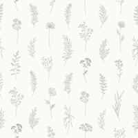 Seamless pattern with wildflowers. Floral meadow herbs and flowers. Elegant botanical print in thin line, modern style design. Nature background for fabric, package, wrapping. vector