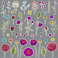 Floral hand drawn stickers. Set of different wild flowers and leaves. Boho theme. For printing on sticky paper and for use in your design. Colorful bright flowers vector