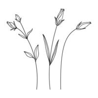 Set of wildflower, group buds, black line art style, white background. Hand drawn flowers and leaves. Wild plants for design projects vector