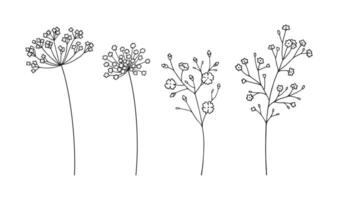 Set of wildflower inflorescences in black line art style, on white background. Hand drawn black flowers and leaves. Wild plants and botanical elements for design projects vector